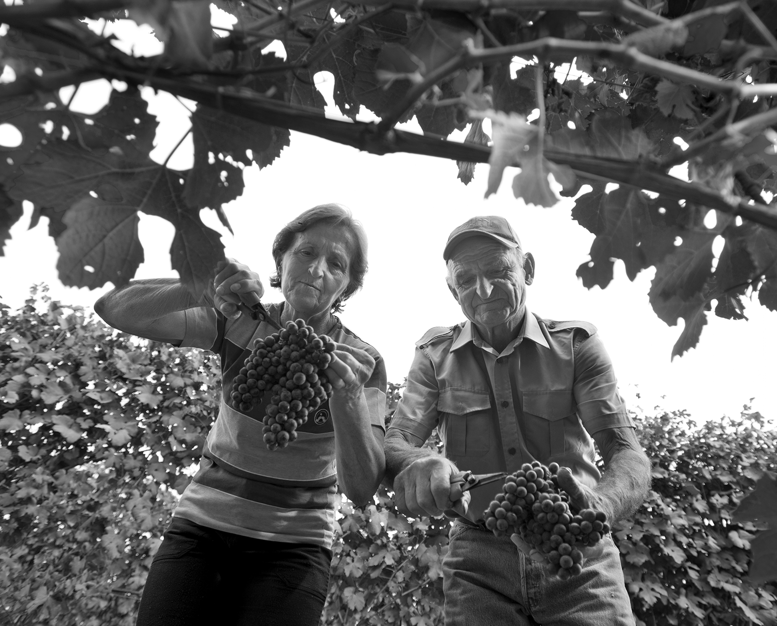 Mario Pelassa e Maria Teresa Viglione