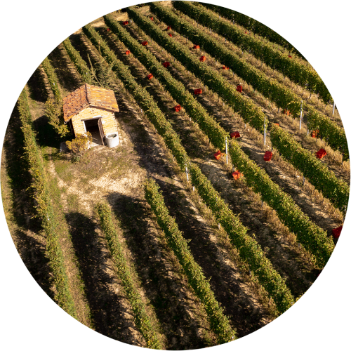 Degustazioni personalizzate